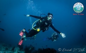 scuba diving in India